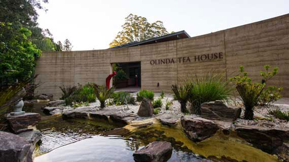 Olinda Tea House